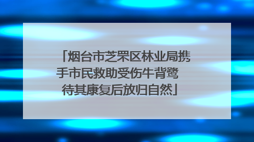 烟台市芝罘区林业局携手市民救助受伤牛背鹭 待其康复后放归自然