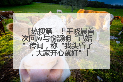 热搜第一！王晓晨首次回应与俞灏明“已婚”传闻，称“我头昏了，大家开心就好”