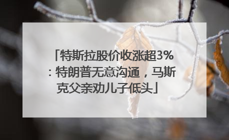 特斯拉股价收涨超3%：特朗普无意沟通，马斯克父亲劝儿子低头