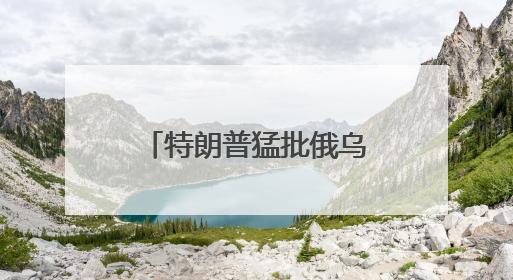 特朗普猛批俄乌两国总统 美媒：迄今最严厉批评