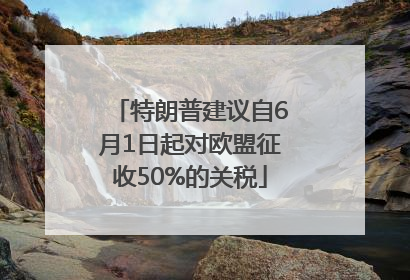 特朗普建议自6月1日起对欧盟征收50%的关税