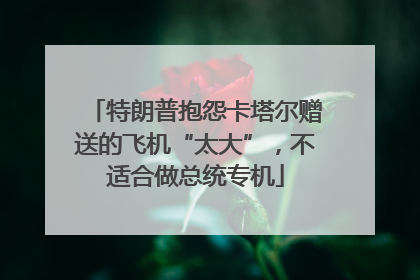 特朗普抱怨卡塔尔赠送的飞机“太大”，不适合做总统专机
