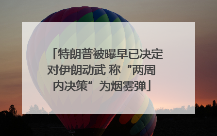 特朗普被曝早已决定对伊朗动武 称“两周内决策”为烟雾弹