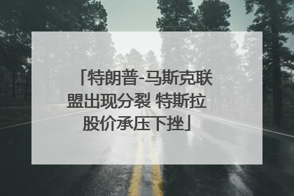 特朗普-马斯克联盟出现分裂 特斯拉股价承压下挫