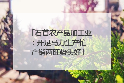 石首农产品加工业：开足马力生产忙 产销两旺势头好