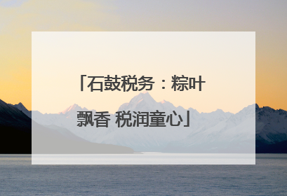 石鼓税务：粽叶飘香 税润童心