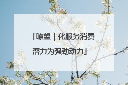 瞭望｜化服务消费潜力为强劲动力