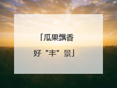 瓜果飘香 好“丰”景