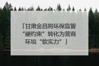 甘肃金昌将环保监管“硬约束”转化为营商环境“软实力”