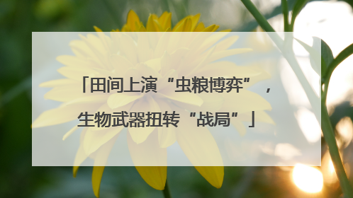 田间上演“虫粮博弈”，生物武器扭转“战局”