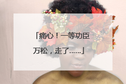 痛心！一等功臣万松，走了……