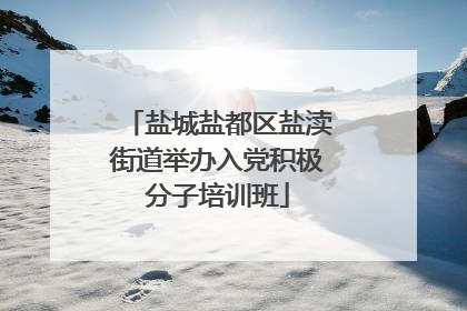 盐城盐都区盐渎街道举办入党积极分子培训班