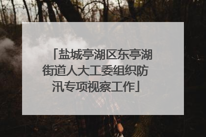 盐城亭湖区东亭湖街道人大工委组织防汛专项视察工作
