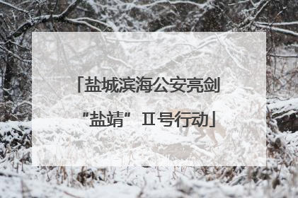 盐城滨海公安亮剑“盐靖”Ⅱ号行动