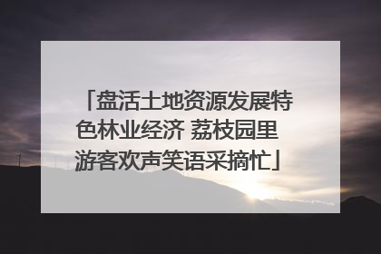 盘活土地资源发展特色林业经济 荔枝园里游客欢声笑语采摘忙
