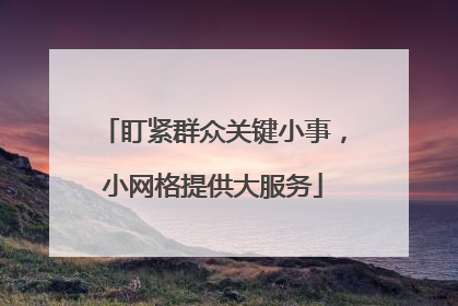 盯紧群众关键小事，小网格提供大服务