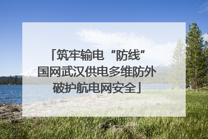 筑牢输电“防线” 国网武汉供电多维防外破护航电网安全