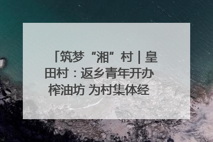 筑梦“湘”村｜皇田村：返乡青年开办榨油坊 为村集体经济“加油”