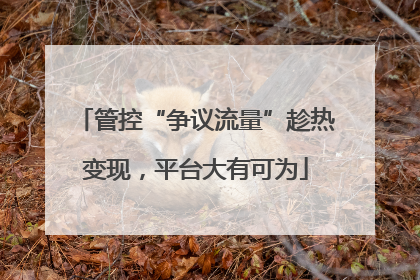 管控“争议流量”趁热变现，平台大有可为