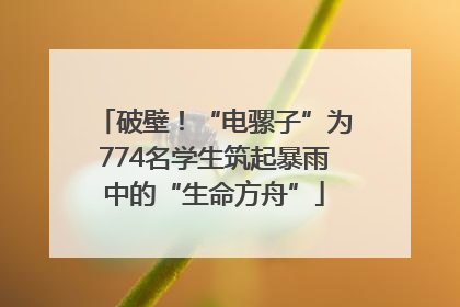 破壁！“电骡子”为774名学生筑起暴雨中的“生命方舟”