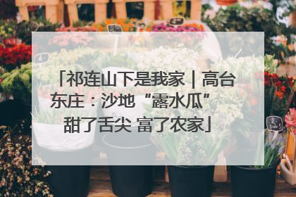 祁连山下是我家｜高台东庄：沙地“露水瓜” 甜了舌尖 富了农家