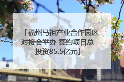 福州马祖产业合作园区对接会举办 签约项目总投资85.5亿元