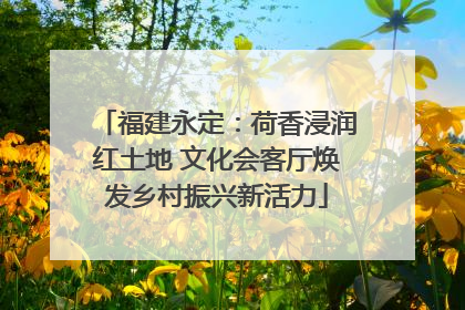 福建永定：荷香浸润红土地 文化会客厅焕发乡村振兴新活力