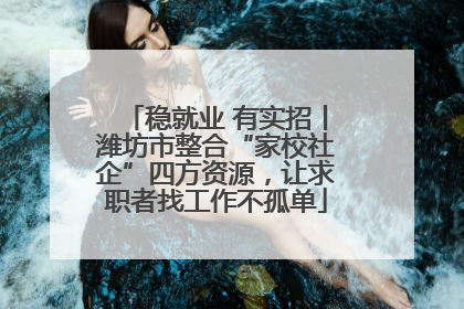 稳就业 有实招丨潍坊市整合“家校社企”四方资源，让求职者找工作不孤单