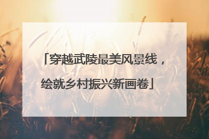 穿越武陵最美风景线，绘就乡村振兴新画卷