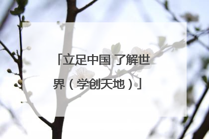 立足中国 了解世界（学创天地）