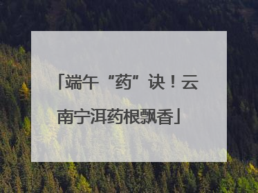 端午“药”诀！云南宁洱药根飘香