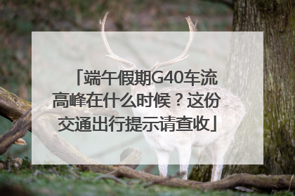 端午假期G40车流高峰在什么时候？这份交通出行提示请查收