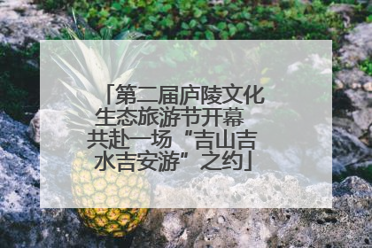 第二届庐陵文化生态旅游节开幕 共赴一场“吉山吉水吉安游”之约