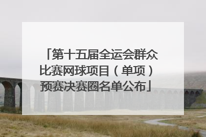 第十五届全运会群众比赛网球项目（单项）预赛决赛圈名单公布