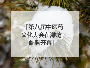 第八届中医药文化大会在潍坊临朐开幕