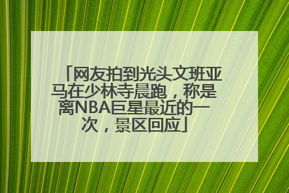 网友拍到光头文班亚马在少林寺晨跑，称是离NBA巨星最近的一次，景区回应