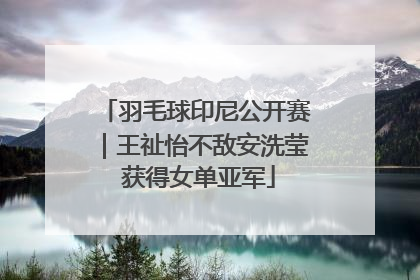 羽毛球印尼公开赛｜王祉怡不敌安洗莹 获得女单亚军