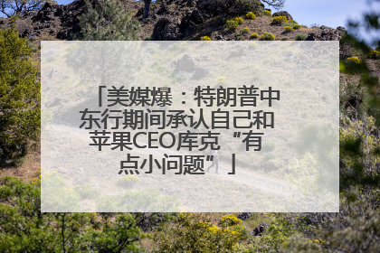 美媒爆：特朗普中东行期间承认自己和苹果CEO库克“有点小问题”