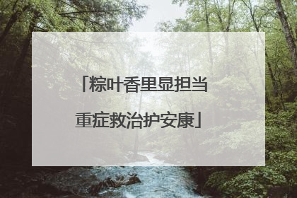 粽叶香里显担当 重症救治护安康