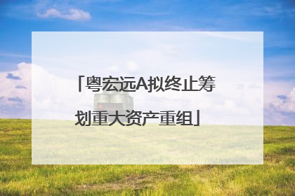 粤宏远A拟终止筹划重大资产重组