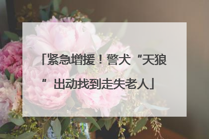 紧急增援！警犬“天狼”出动找到走失老人