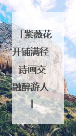 紫薇花开铺满径 诗画交融醉游人