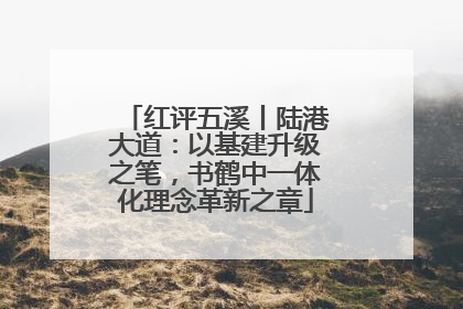 红评五溪丨陆港大道：以基建升级之笔，书鹤中一体化理念革新之章