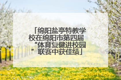 绵阳盐亭特教学校在绵阳市第四届“体育复健进校园”联赛中获佳绩