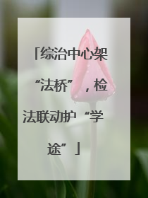 综治中心架“法桥”，检法联动护“学途”