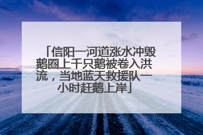 信阳一河道涨水冲毁鹅圈上千只鹅被卷入洪流，当地蓝天救援队一小时赶鹅上岸