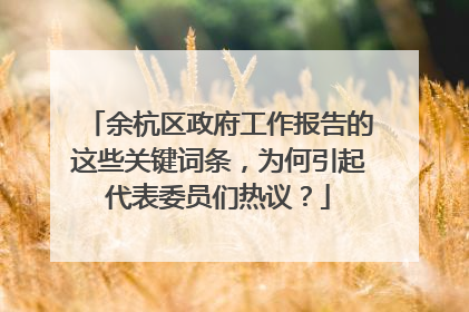 余杭区政府工作报告的这些关键词条，为何引起代表委员们热议？