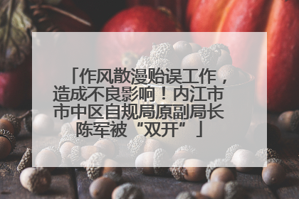 作风散漫贻误工作，造成不良影响！内江市市中区自规局原副局长陈军被“双开”