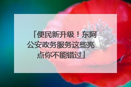 便民新升级！东阿公安政务服务这些亮点你不能错过