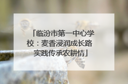 临汾市第一中心学校：麦香浸润成长路 实践传承农耕情